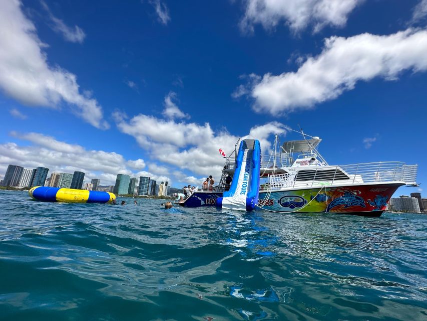 Honolulu: Deluxe Waikiki Snorkel and Wildlife Cruise - Quick Points Before You Book