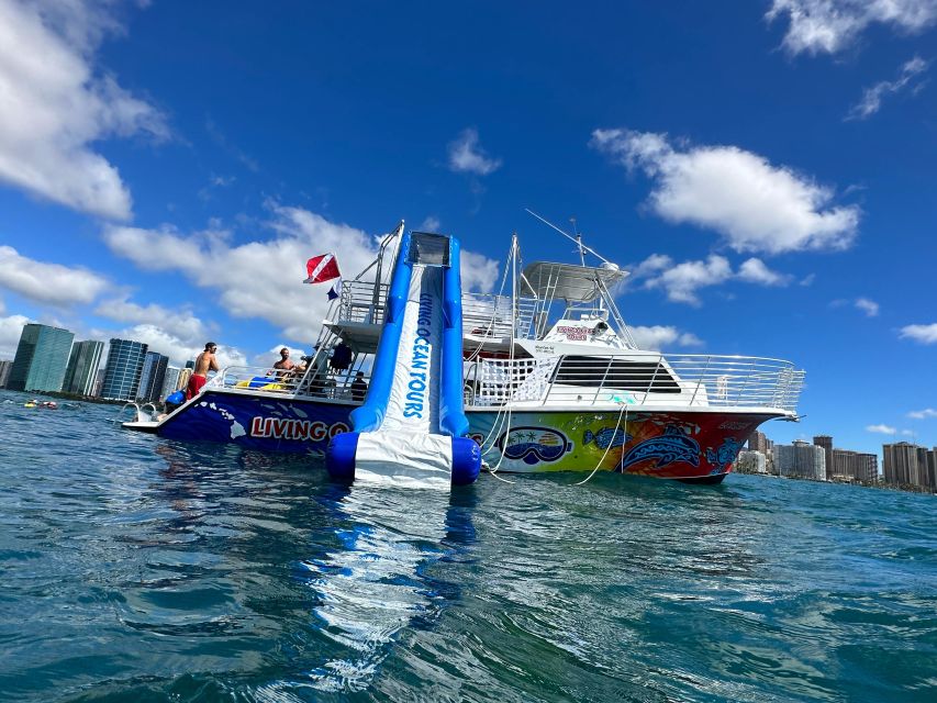 Honolulu: Deluxe Waikiki Snorkel and Wildlife Cruise - Meeting the Boat at Kewalo Basin