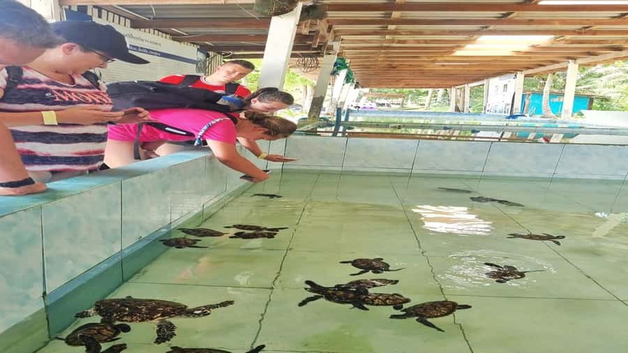 Hua Hin: Koh Talu Snorkeling with Lunch for 2 or More People - Two snorkeling stops, about 50 minutes each