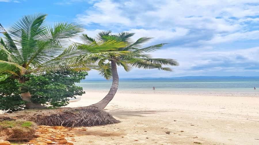 Hua Hin: Koh Talu Snorkeling with Lunch for 2 or More People - A Thai lunch, turtle nursery, and easy island time