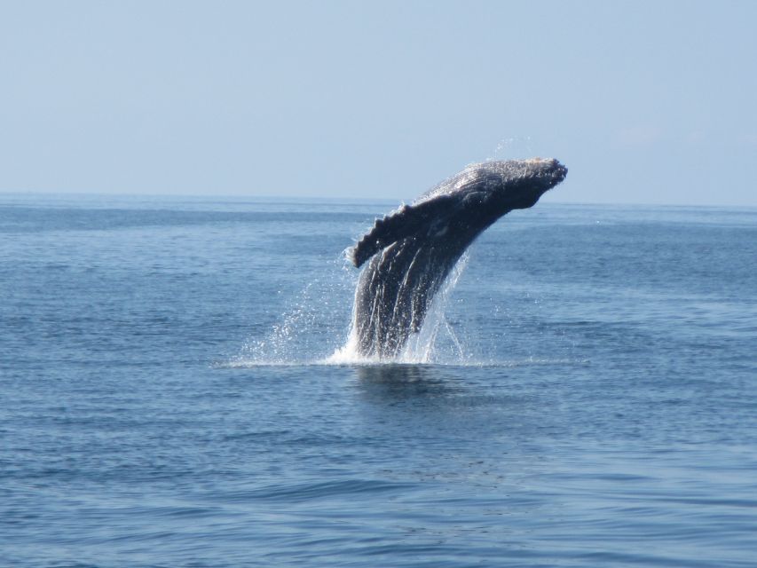 Huatulco: Bays Boat Tour with Snorkeling and Hotel Pickup - Two hours at Maguey Bay