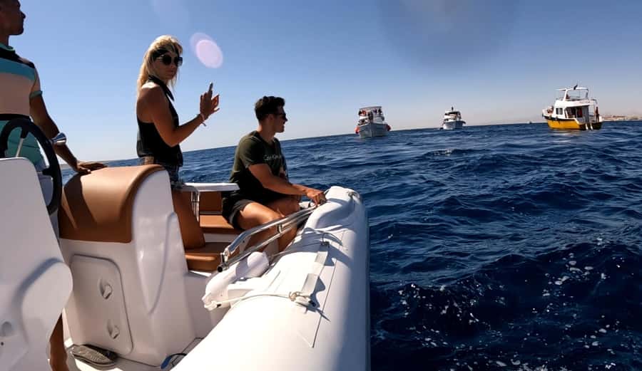 Hurghada: 3-Island Speedboat, Dolphin Watching & Snorkeling - The price and who gets the best value