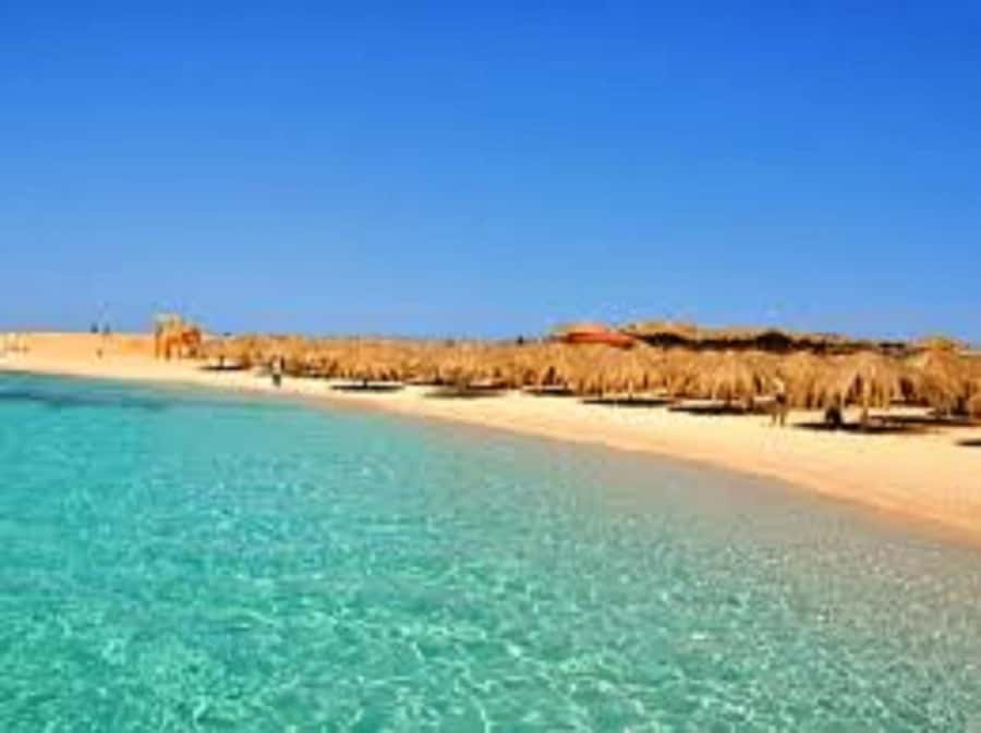 Hurghada: 3-Island Speedboat, Dolphin Watching & Snorkeling - Magawish Island for a quieter hour