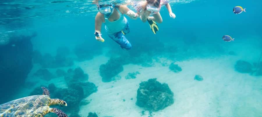 Hurghada: Day Snorkeling with Dolphins - Key points to know before booking