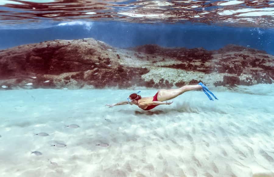 Hurghada: Day Snorkeling with Dolphins - Who should book this trip?