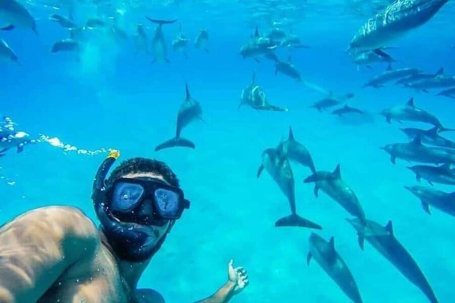Hurghada: Dolphin & Coral Reef Snorkeling Tour with Lunch - Two coral reef stops in clear water