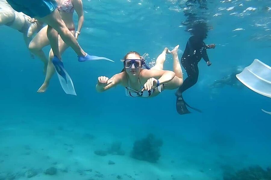 Hurghada: Dolphin Cruise with Snorkeling & Buffet Lunch - Lunch, drinks, and time between stops
