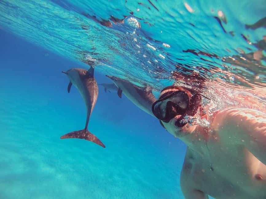 Hurghada: Dolphin Watching Boat Tour with Snorkeling & Lunch - Leaving Hurghada for a six to seven hour day