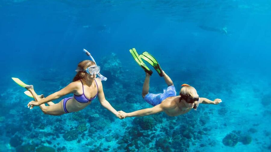 Hurghada: Dolphin Watching Boat Tour with Snorkeling & Lunch - Lunch, drinks, and time on deck