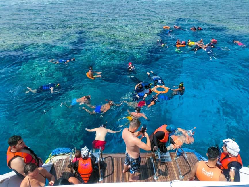 Hurghada: Dolphin Watching Boat Tour with Snorkeling & Lunch - Practical tips for making the day better
