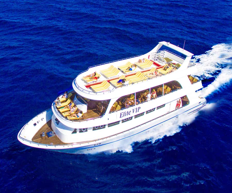 Hurghada: Elite vip snorkeling cruise with BBQ buffet lunch - Key points to know before booking