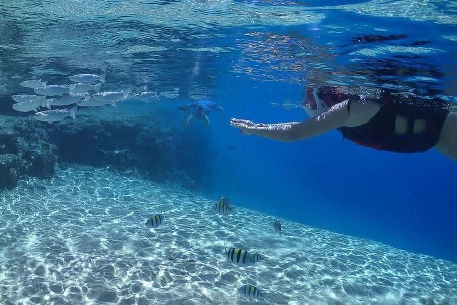 Hurghada: Full-Day Snorkeling Tour in Sharm El Naga w/Lunch - What to bring and what to clarify