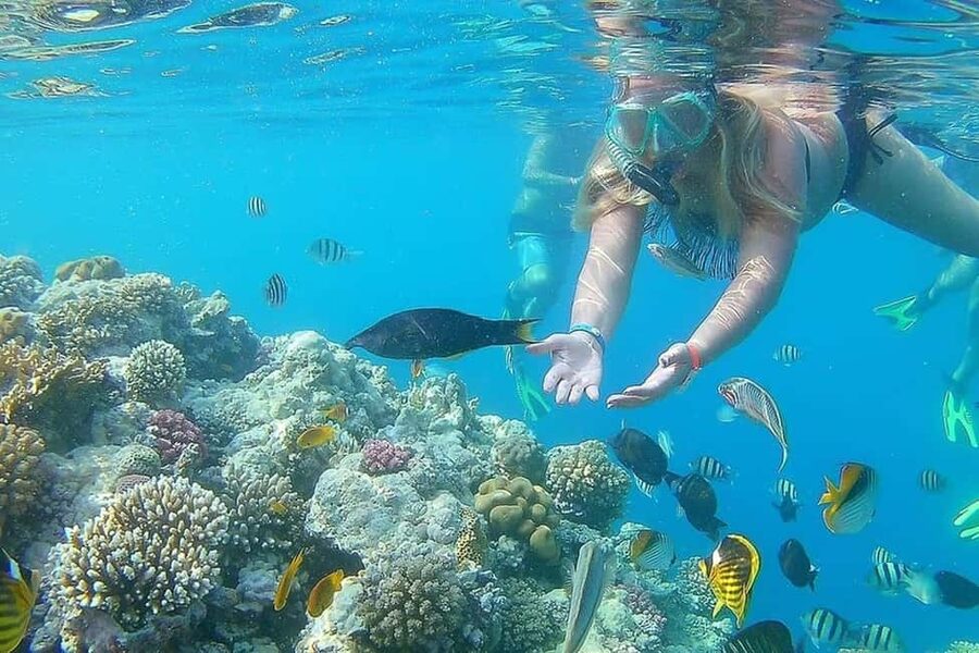 Hurghada: Full-Day Snorkeling Tour in Sharm El Naga w/Lunch - Beach time between swims
