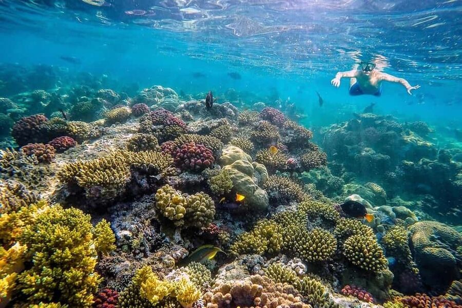 Hurghada: Full-Day Snorkeling Tour in Sharm El Naga w/Lunch - Lunch beside the bay