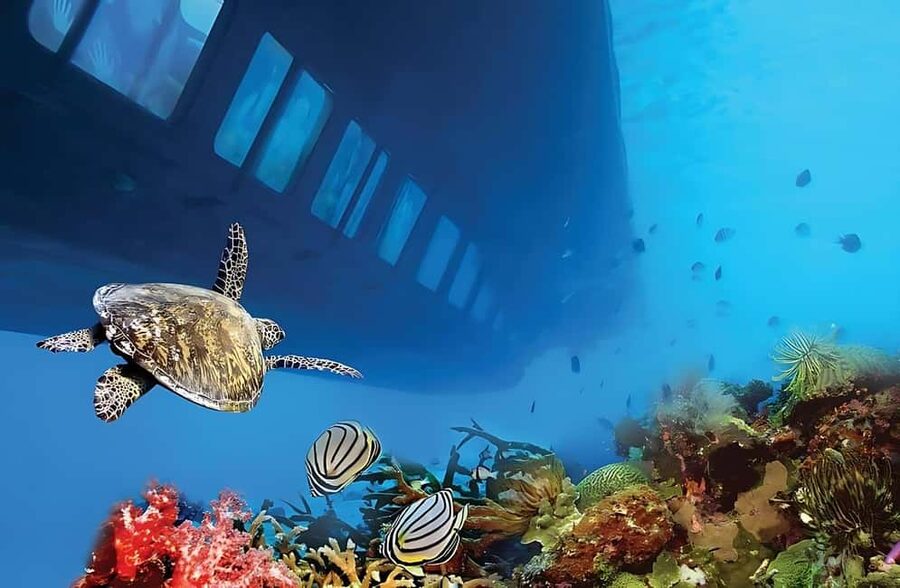 Hurghada: Glass Boat & Snorkeling with Optional Parasailing - Crew Service Versus Transfer Problems
