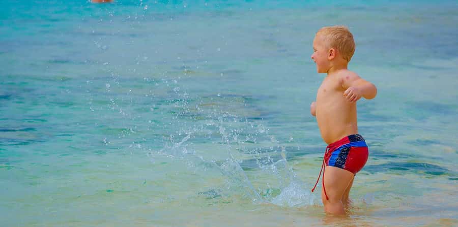 Hurghada: Hula Hula Cruise with Lunch, Massage, & Snorkeling - Snorkeling with patient local guides