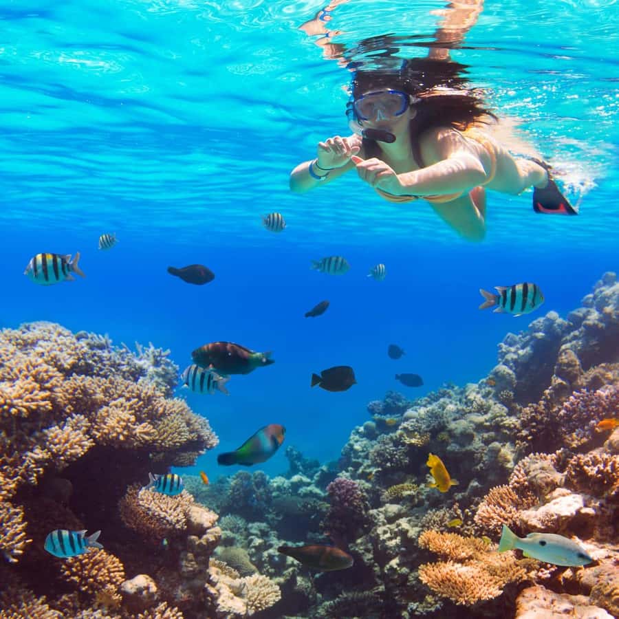 Hurghada:Luxury Diving & Snorkeling inc/Island/Lunch/Massage - What the $58 Hurghada cruise actually offers
