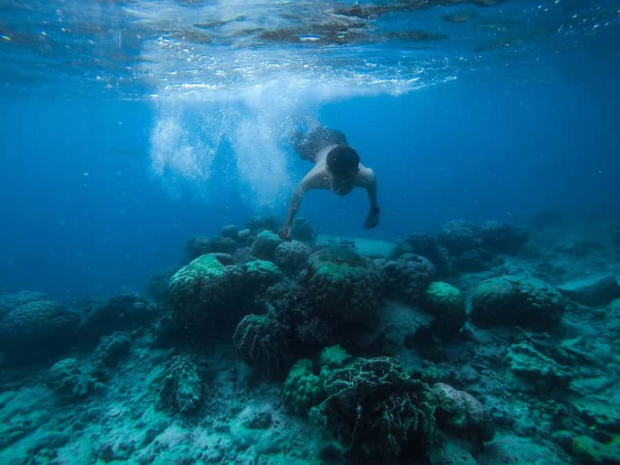 Hurghada:Luxury Diving & Snorkeling inc/Island/Lunch/Massage - Hotel pickup and the 45-minute ride to Orange Bay