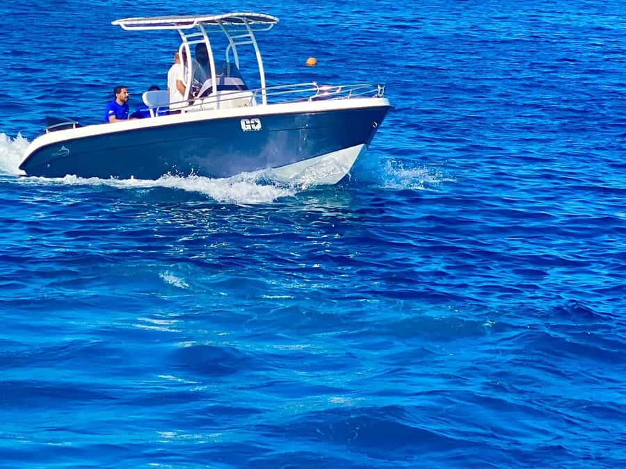 Hurghada: Orange Bay Dolphin Watching, Snorkeling & Lunch - Who should book this Hurghada excursion