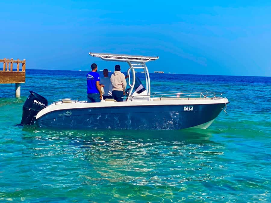 Hurghada: Orange Bay Dolphin Watching, Snorkeling & Lunch - The optional flight over the Red Sea