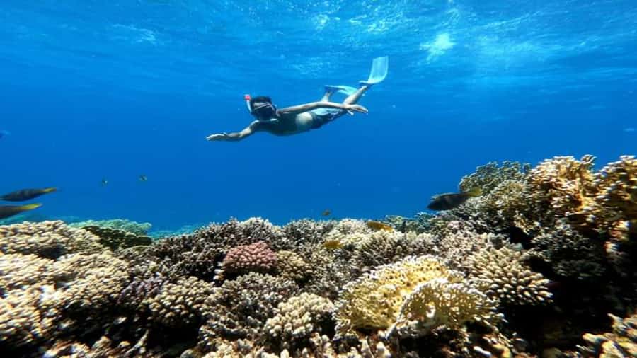 Hurghada: Snorkeling 6 x 1 to Orange Bay w Diving & Massage - Orange Bay before the crowds