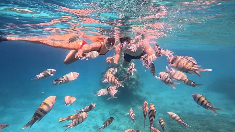 Hurghada: Snorkelling Trip by Speedboat with Hotel Pickup - What the crew adds to the experience