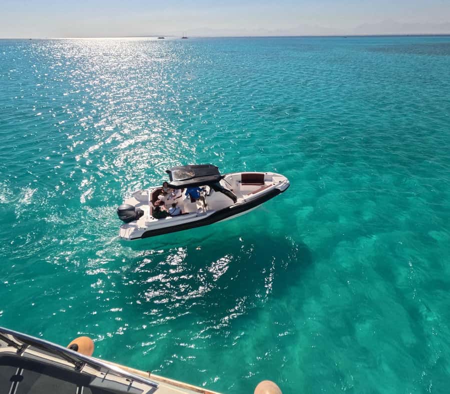 Hurghada: Speedboat Dolphin Watching & Snorkeling with Lunch - Snorkeling the Red Sea reefs