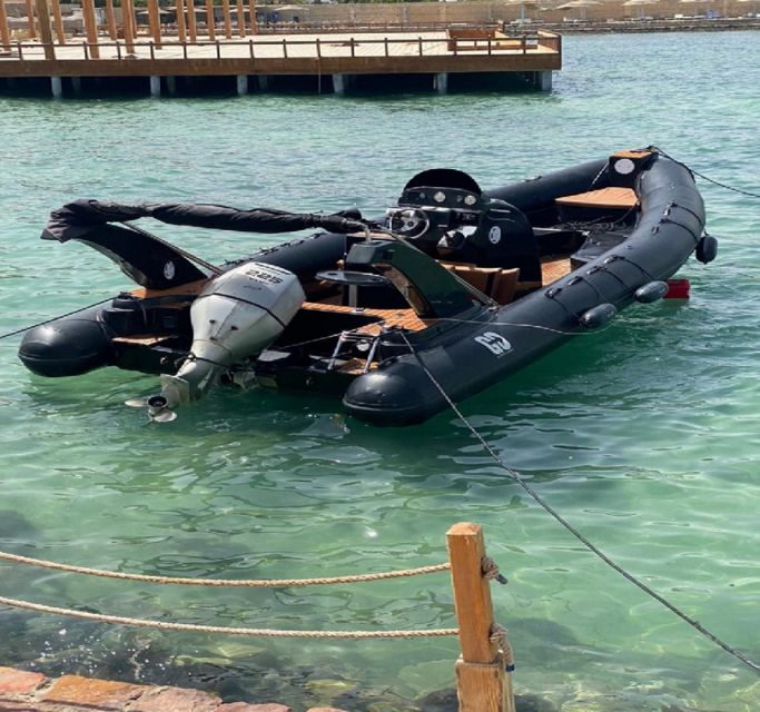 Hurghada: Speedboat Dolphin Watching & Snorkeling with Lunch - Timing, pickup, and what to bring