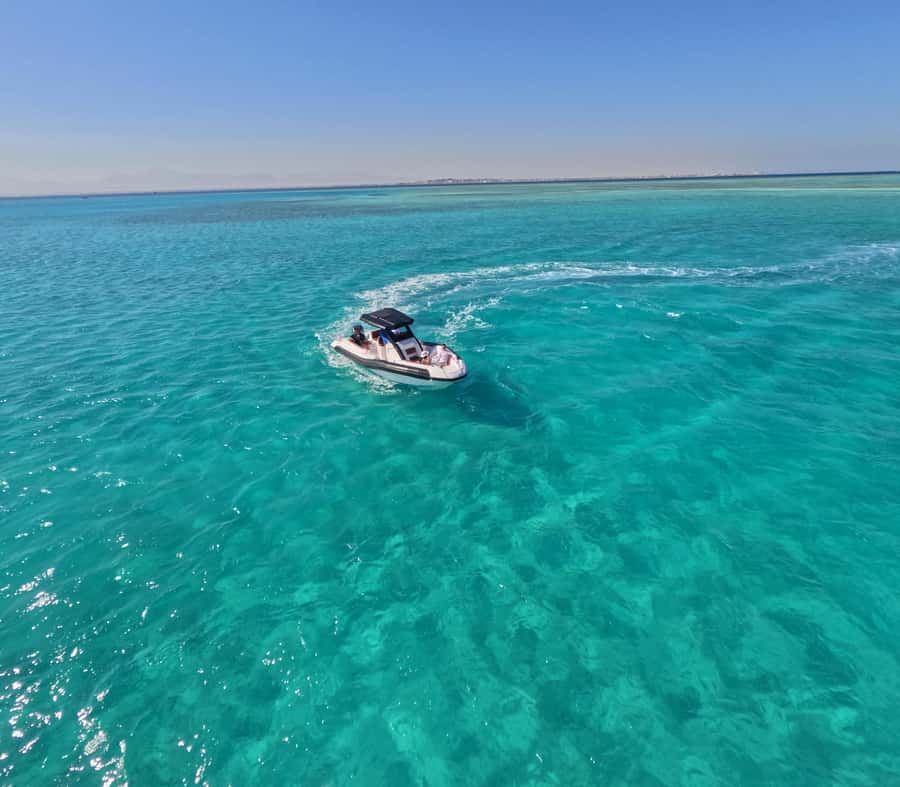 Hurghada: Turtle Bay Speedboat Tour with Snorkeling - Searching for turtles and other sea life