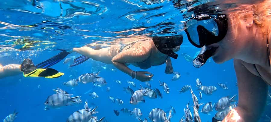 Hurghada: White Island Speedboat Tour, Snorkeling, & Lunch - Two guided snorkeling stops inside the national park