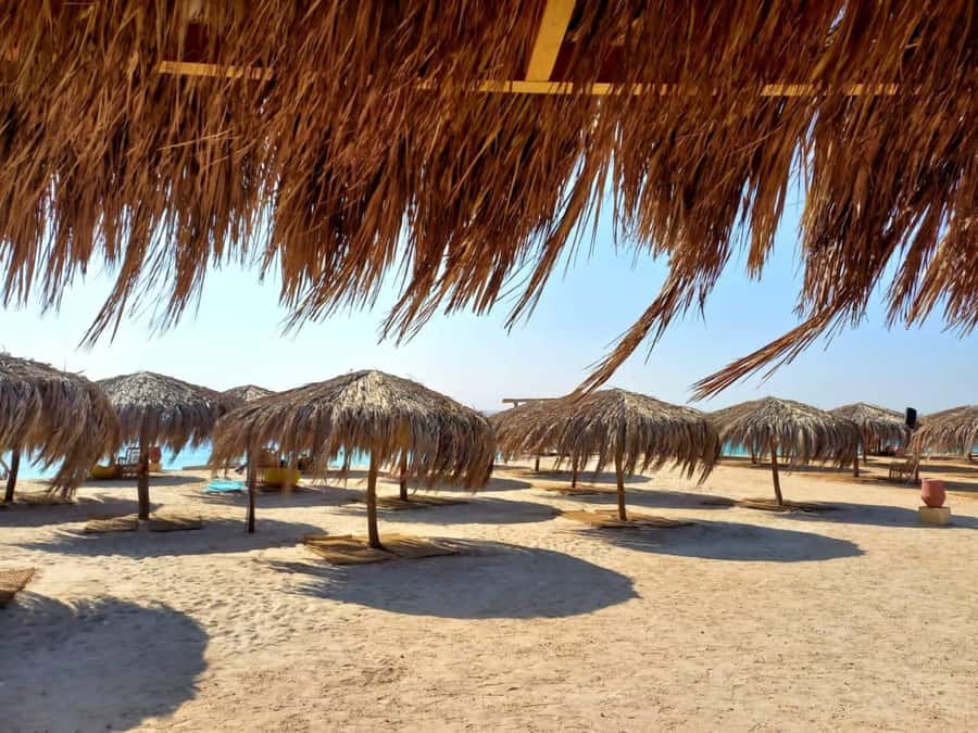 Hurghada: Yacht trip To Magawish island w Snorkeling & Lunch - Group size and the feel of the outing