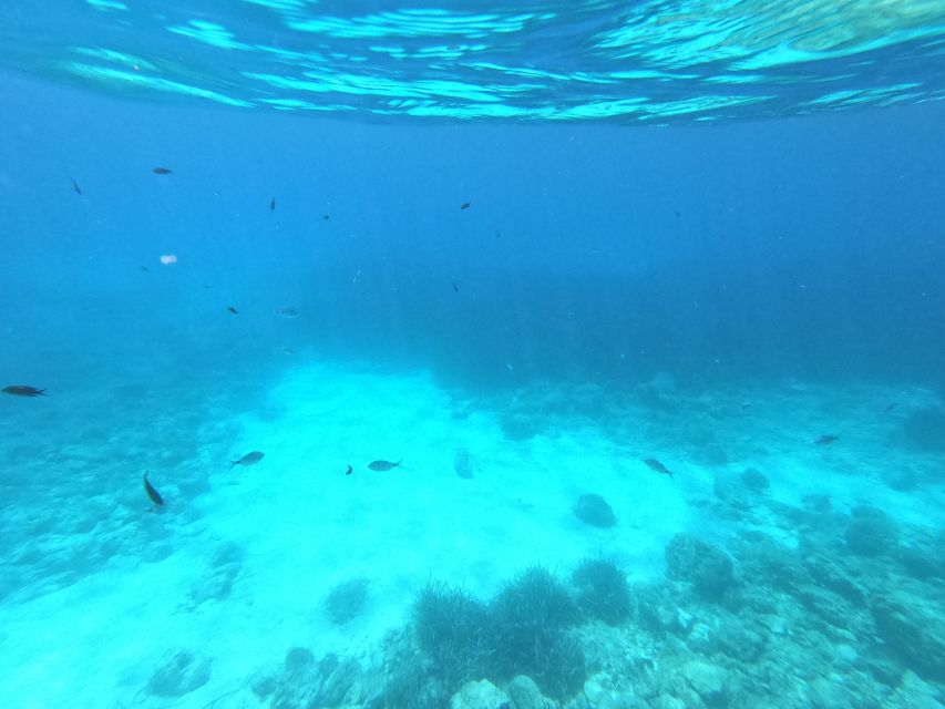 Hvar: Private Sailing Boat Trip with Swimming and Snorkeling - Later stops: Perna, Palmizana, Jerolim, and Tarsce