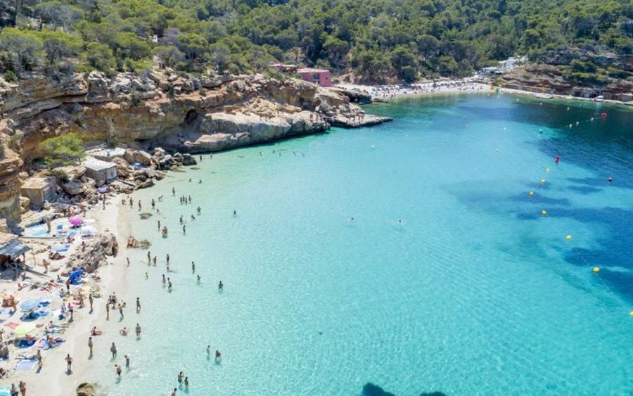 Ibiza: Cala Salada & North Cruise with Drinks & Snorkeling - Who Will Enjoy This Cruise Most