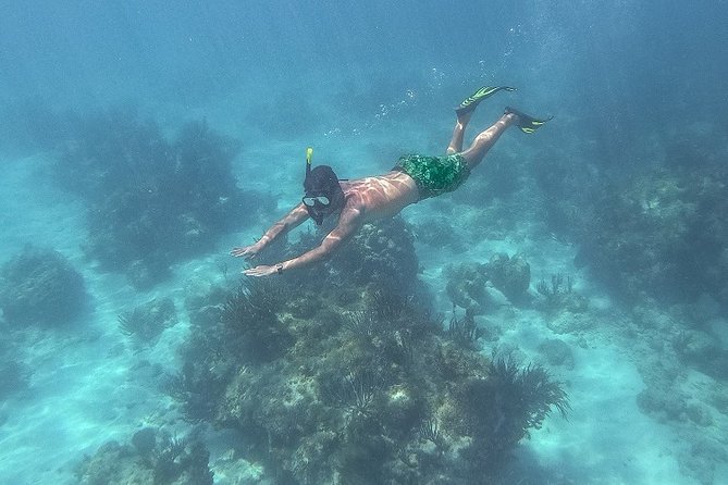 Icacos Deserted Island Catamaran, Snorkel, and Picnic Cruise - A practical picnic lunch on the boat
