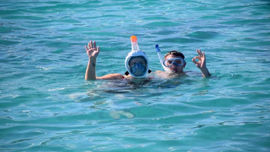 Île aux Bénitiers Snorkeling with Dolphins + Seafood Lunch - What this Mauritius boat day is really about