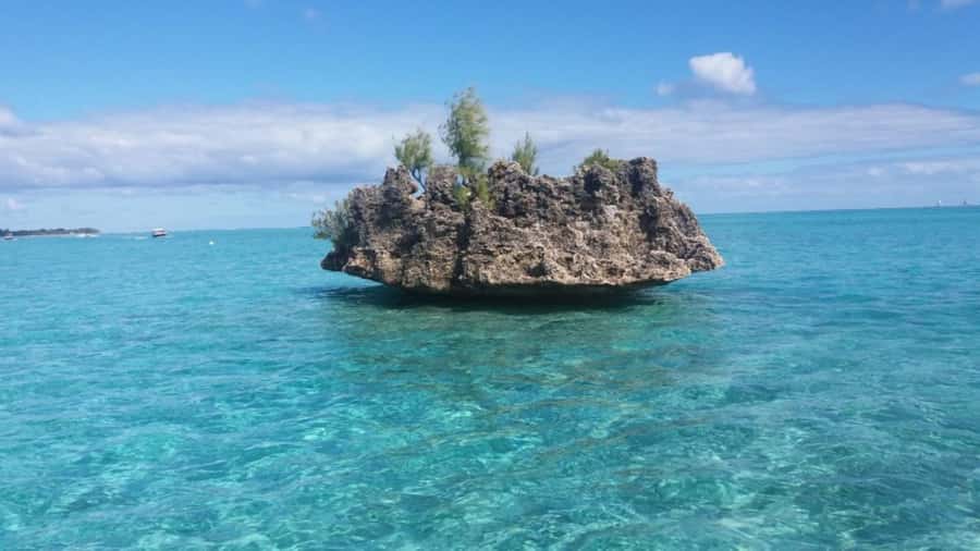 Île aux Bénitiers Snorkeling with Dolphins + Seafood Lunch - Crystal Rock and Le Morne views