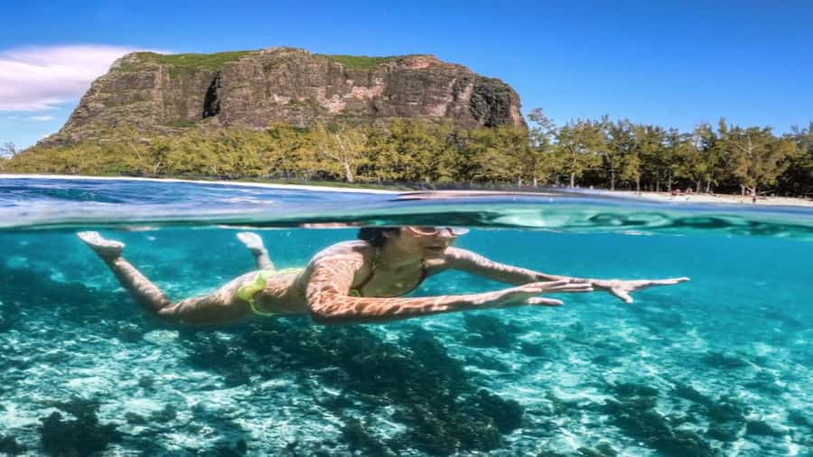Île aux Bénitiers Snorkeling with Dolphins + Seafood Lunch - Is $80 a fair price?