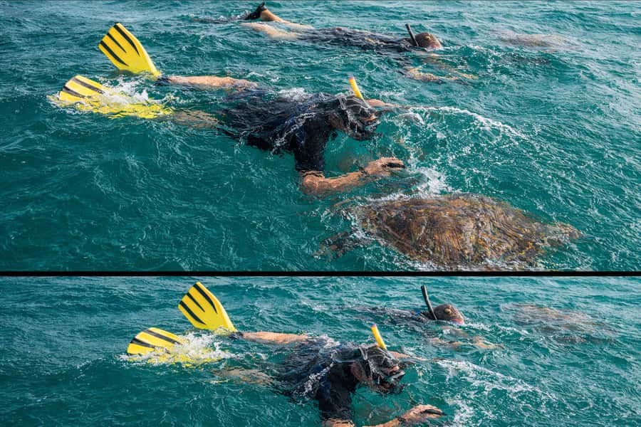 Ilha Do Sal: Snorkeling with Local Guide - The shallow shipwreck and its fish