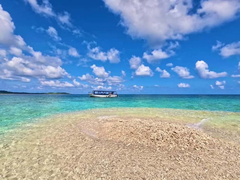 Iriomote: Boat Snorkeling Tour at Barasu Island - What the beginner lesson covers