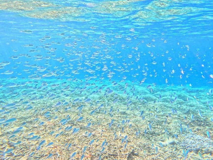 Iriomote: Boat Snorkeling Tour at Barasu Island - What the water experience may feel like