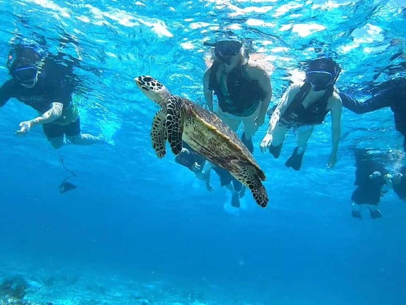Iriomote: Boat Snorkeling Tour at Barasu Island - Free photos, with one important qualification