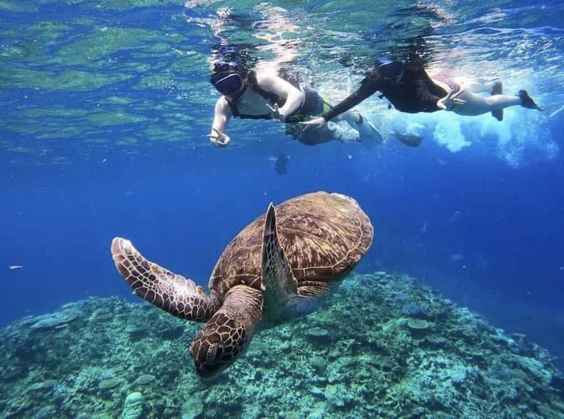 Iriomote: Boat Snorkeling Tour at Barasu Island - What to wear and prepare before meeting