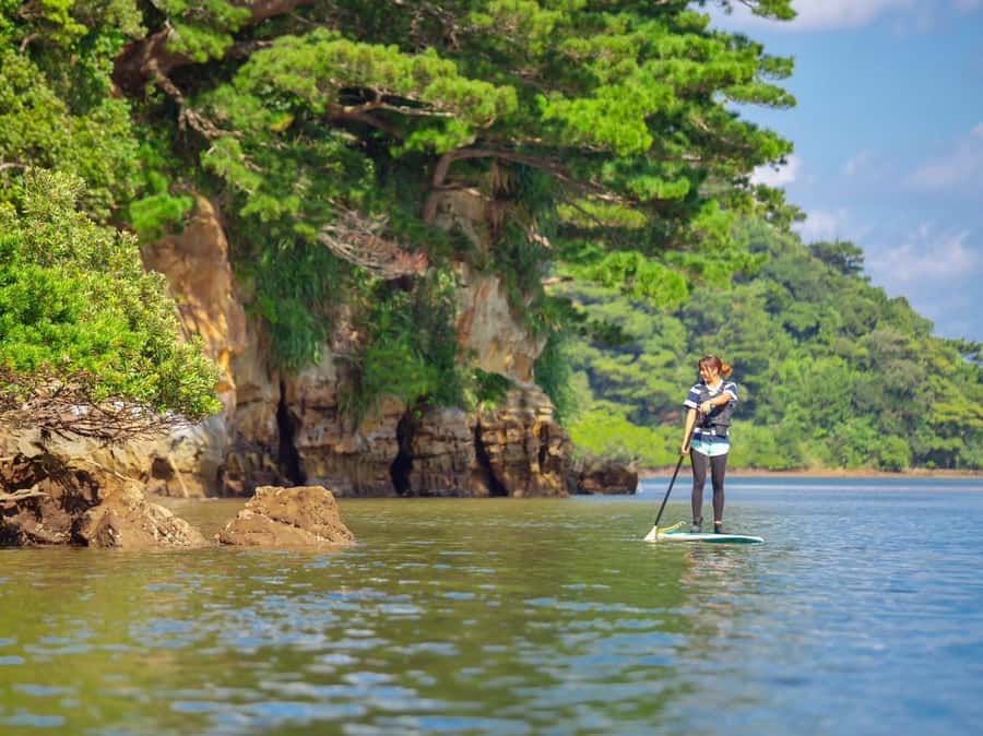 Iriomote Mangrove SUP and Snorkeling at Coral island - Key points to know before booking