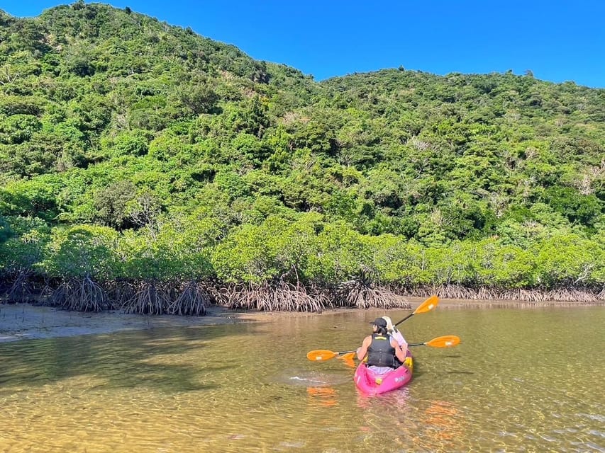 Iriomote Mangrove SUP and Snorkeling at Coral island - Who should book this Iriomote tour?