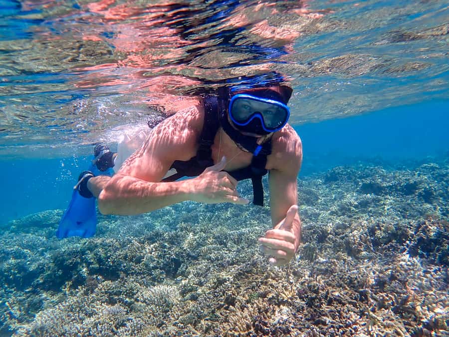 Iriomote Mangrove SUP and Snorkeling at Coral island - Starting at Uehara Port and taking the speedboat