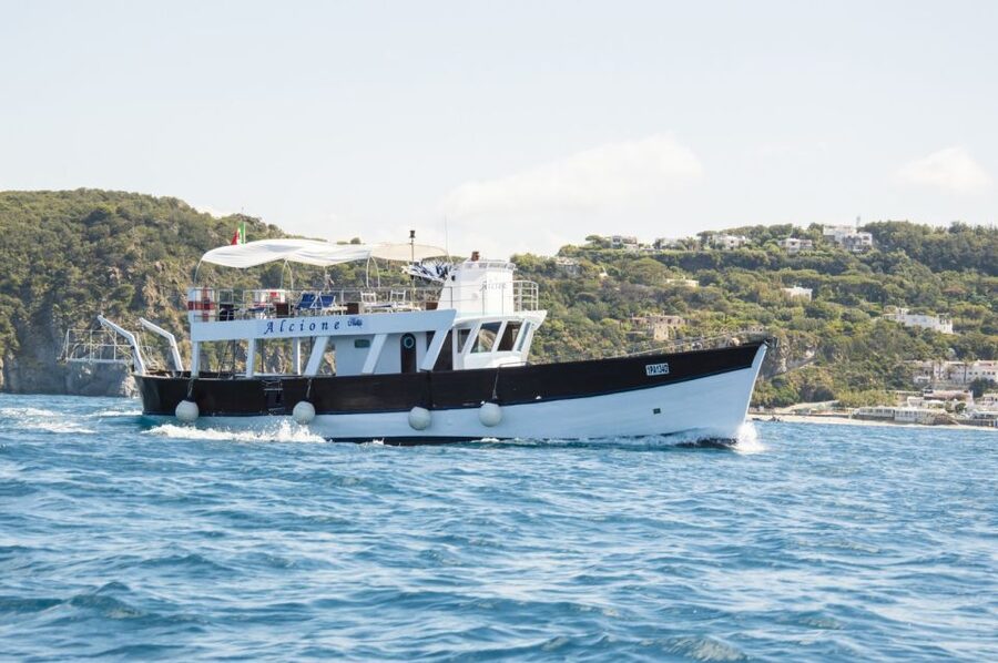 Ischia: Island Boat Tour with Neapolitan Lunch & Snorkeling - Cartaromana and the Aragonese Castle from the water