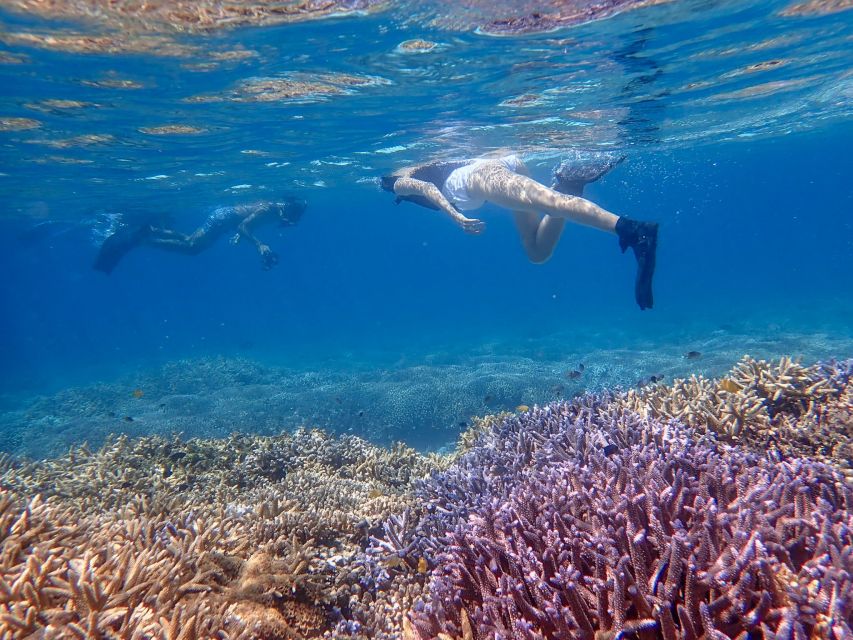 Ishigaki Island: Boat Snorkeling Tour at Phantom Island - Setting out from Ishigaki Port