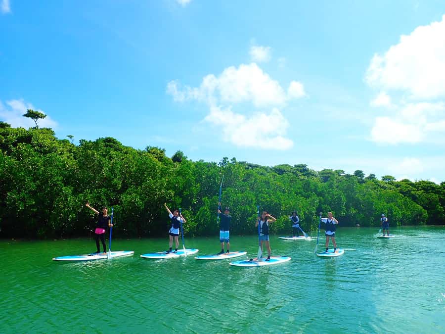 Ishigaki Island: SUP or Canoeing and Snorkeling at Blue Cave - FAQ