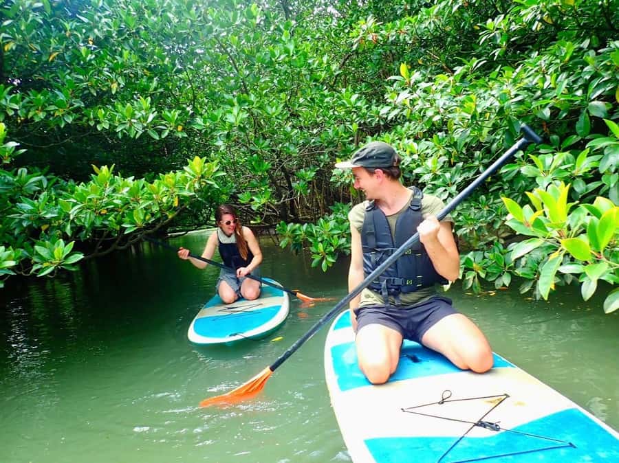 Ishigaki Island: SUP or Canoeing and Snorkeling at Blue Cave - Snorkeling at the Blue Cave