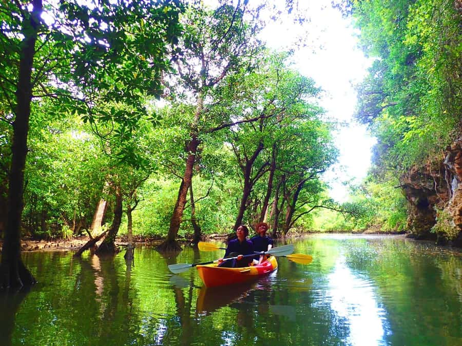 Ishigaki Island: SUP or Canoeing and Snorkeling at Blue Cave - What the $93 price really includes